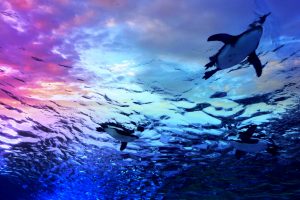 水族館